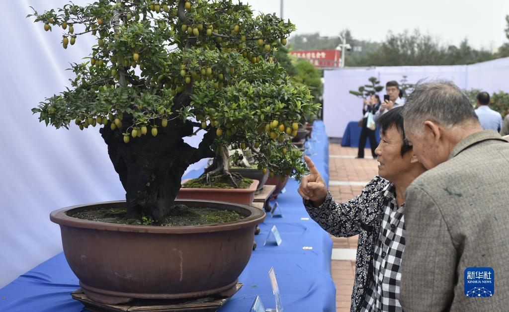 美梅高赌城直营